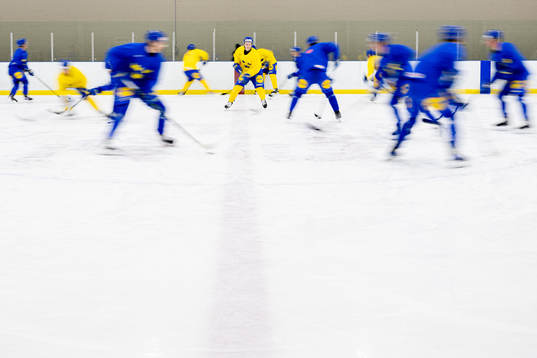 Players of Sweden