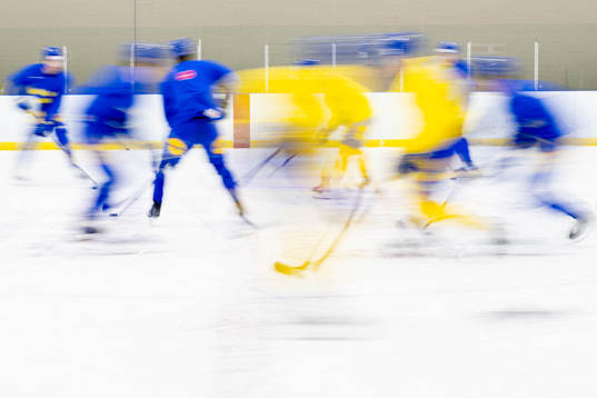 Players of Sweden