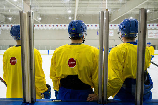Players of Sweden