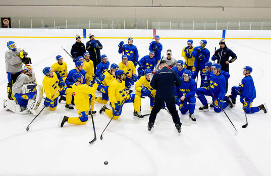 Magnus Hävelid, Head coach of Sweden