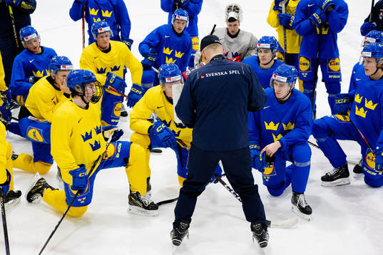 Head coach Magnus Hävelid, Axel Sandin-Pellikka , Filip