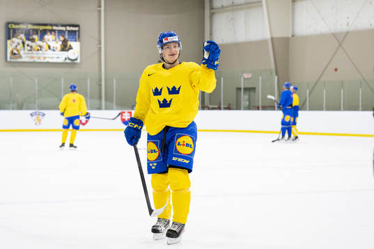 Victor Stjernborg of Sweden celebrates