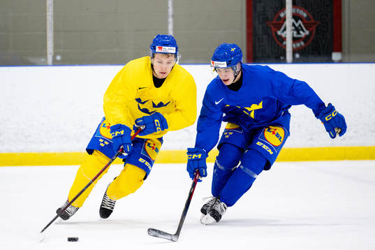 Fabian Lysell and Jakob Norén of Sweden