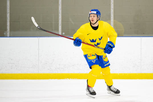 Fabian Lysell of Sweden