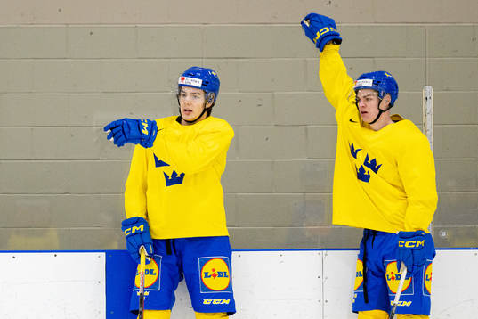 Leo Carlsson and Oskar Pettersson of Sweden