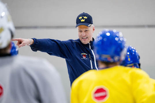 Magnus Hävelid, Head coach of Sweden