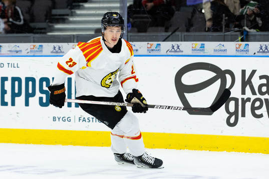 Brynäs Linus Lindblom