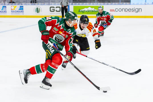 Frölundas Andreas Borgman och Brynäs Alexander Ljungkrantz