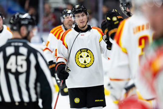 Brynäs Samuel Johannesson jublar