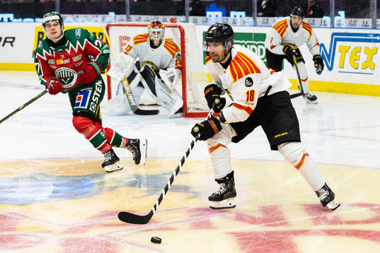 Brynäs Anton Rödin