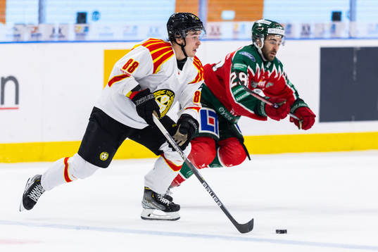Brynäs Dmytro Timashov