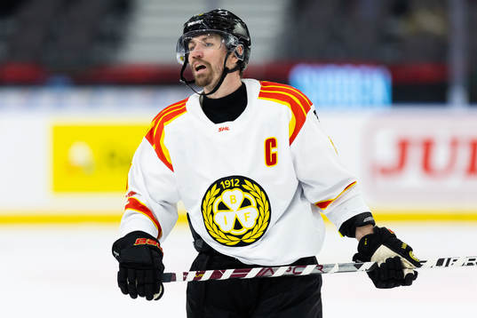 Brynäs Anton Rödin