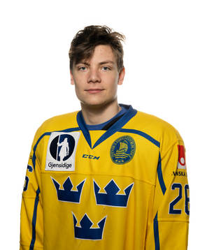 Victor Stjernborg of Sweden poses for a portrait