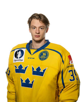 Goaltender Carl Lindbom of Sweden poses for a portrait