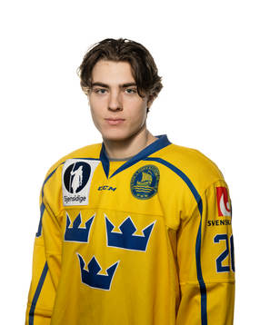 Liam Öhgren of Sweden poses for a portrait