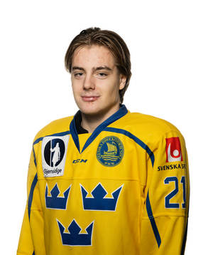Leo Carlsson of Sweden poses for a portrait