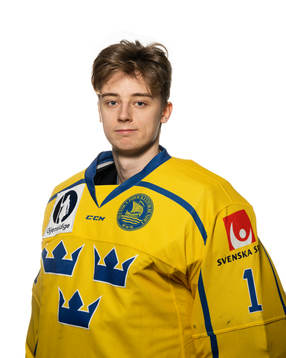 Goaltender Ian Blomquist of Sweden poses for a portrait