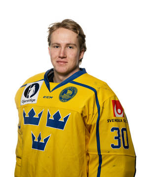 Goaltender Marcus Brännman of Sweden poses for a portrait
