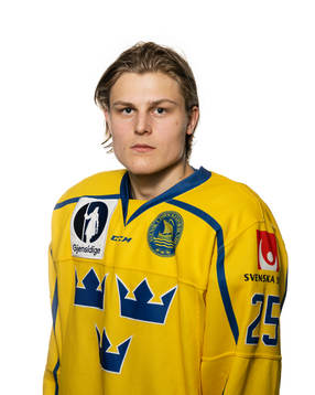 Milton Oscarson of Sweden poses for a portrait