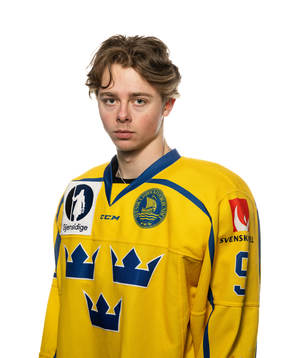 Ludvig Jansson of Sweden poses for a portrait