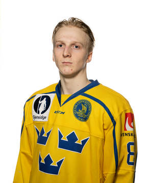 Adam Engström of Sweden poses for a portrait