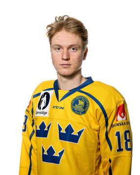 Filip Bystedt of Sweden poses for a portrait