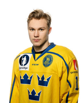 Fabian Lysell of Sweden poses for a portrait