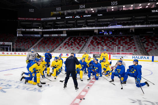Magnus Hävelid, Head coach of Sweden with a brief with the