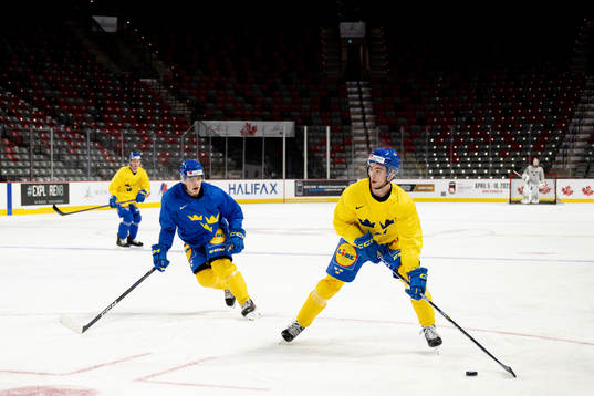 Victor Stjernborg and Isak Rosén of Sweden