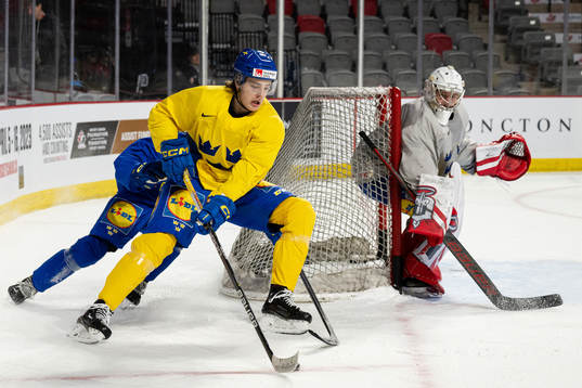 Leo Carlsson and goaltender Marcus Brännman of Sweden