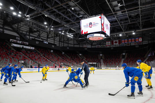 Magnus Hävelid, Head coach of Sweden