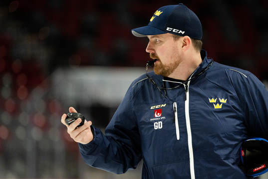 Gereon Dahlgren, Assistant coach of Sweden