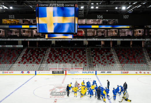 Players of Sweden
