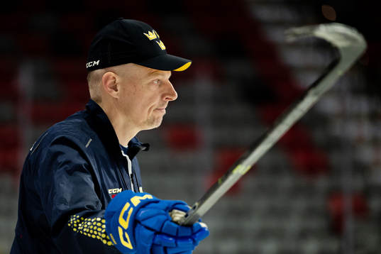Magnus Hävelid, head coach of Sweden
