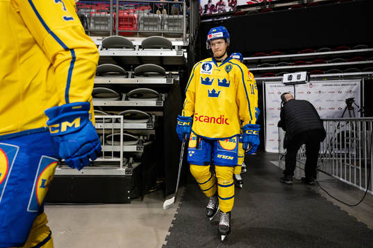 during the friendly under-20 ice hockey game between Sweden