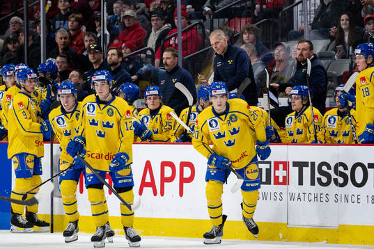 Magnus Hävelid, head coach of Sweden