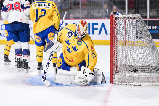 Goaltender Carl Lindbom of Sweden looks dejected