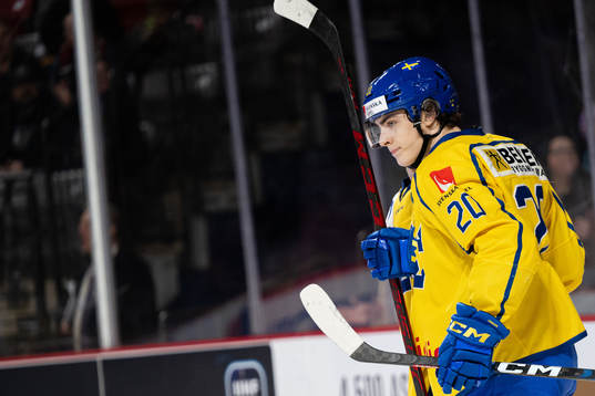 Liam Öhgren of Sweden celebrates the 1-1 goal