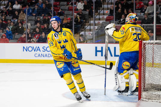 Isak Rosén and goaltender Carl Lindbom of Sweden look