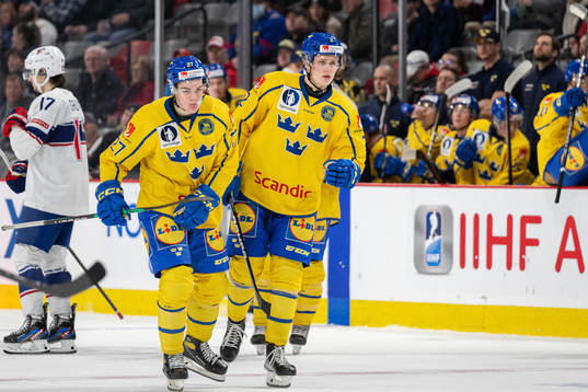 Oskar Pettersson and Elias Pettersson of Sweden look