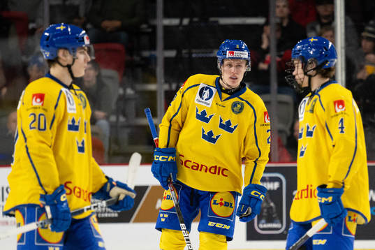Liam Öhgren , Axel Sandin-Pellikka and Elias Pettersson of