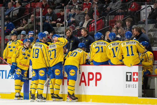 Players of Sweden
