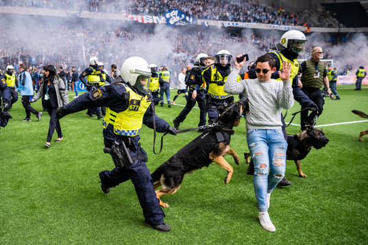 This picture is part of Bildbyrån’s selection of best