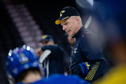 Magnus Hävelid, head coach of Sweden
