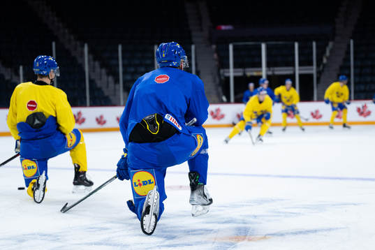 Players of Sweden