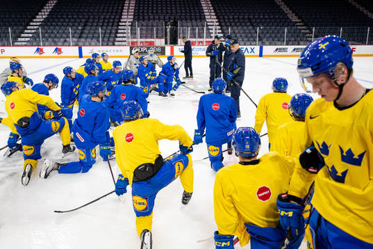 Magnus Hävelid, head coach of Sweden