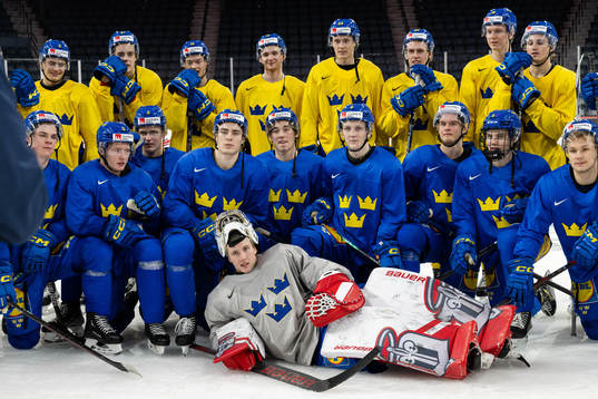 Players of Sweden