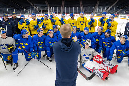 Players of Sweden