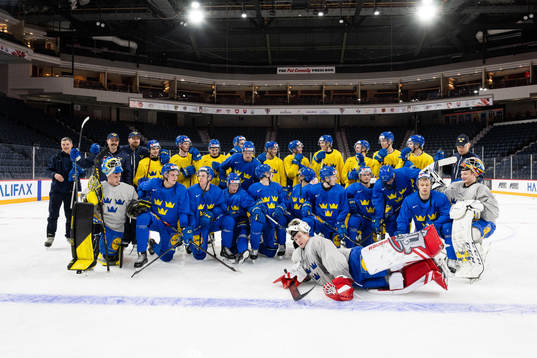 Players of Sweden