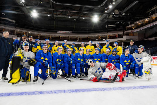Players of Sweden